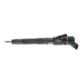 0445110248 COMMON RAIL BOSCH INJECTOR IVECO / FIAY / NEW HOLLAND / HYUNDAI - Simms Diesel