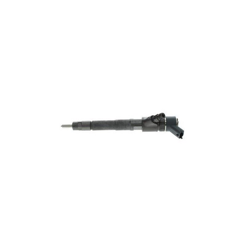 0445110248 COMMON RAIL BOSCH INJECTOR IVECO / FIAY / NEW HOLLAND / HYUNDAI - Simms Diesel