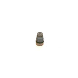 1110010022 BOSCH PRESSURE VALVE 6m70