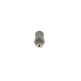 1110010038 BOSCH PRESSURE VALVE